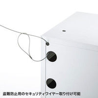 サンワサプライ スマートフォン収納保管庫 幅316×奥行240×高さ183mm CAI-CABSP50 1台（直送品）