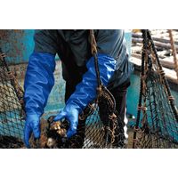 【ニトリル手袋】 ショーワグローブ 腕カバー付手袋 ニトローブTYPE-R65 No.774 ブルー LL 1双