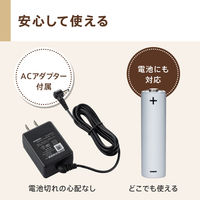 カシオ計算機　ネームランド　イーマ　KL-SP10　1台