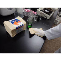 【ペーパーウエス】 大王製紙 エリエールプロワイプソフトフィットタオル帯どめ50 1ケース（1200組：50組入×24束）