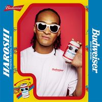 輸入ビール バドワイザー 330ml 1箱（24缶入）【ビール】