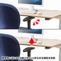 サンワサプライ 電動上下昇降デスク 薄い木目 幅1200×奥行800×高さ630～1280mm ERD-M12080LM 1台（直送品）