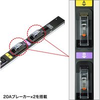 サンワサプライ 19インチサーバーラック用コンセント 200V（30A） 抜け防止ロック機能付き TAP-SV2308LK 1個（直送品）