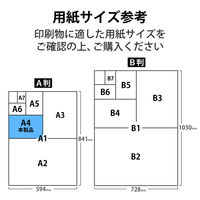エレコム レーザー専用紙/片面光沢/厚手/A4/30枚 ELK-GRAA430 1パック（30枚入）
