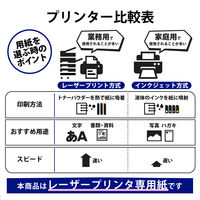 エレコム レーザー専用紙 ノーカット マット ホワイト A4 ELK-TFM10 1個（10枚入）（直送品）