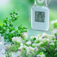 エンペックス気象計 シュクレ・ピタ温度計 白 TD-8431 1個