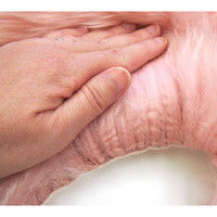 萩原 ムートンフリース SX-1009 幅600×奥行900mm ピンク 240609301 1枚（直送品）