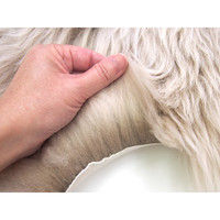 萩原 ムートンフリース SX-1009 幅600×奥行900mm ライトブラウン 240609304 1枚（直送品）