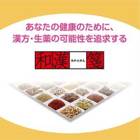 和漢箋 ルナフェミン 168錠 ロート製薬　漢方薬 温経湯 うんけいとう 月経不順 手足のほてり 足腰の冷え【第2類医薬品】