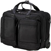 サンワダイレクト ビジネスキャリーバッグ（機内持ち込みサイズ・マチ拡張対応） 200-BAGCR002 1個（直送品）