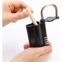 サンワダイレクト セキュリティキーボックス（鍵収納・ダイヤル式・中型サイズ） 200-SL026BK 1個（直送品）