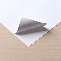 サンワダイレクト ラベルシール（下地が透けない 訂正シール・24面・A4・楽貼りタイプ） 300-DTP24 1個（直送品）