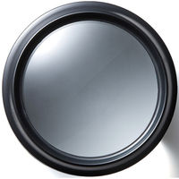 サンワダイレクト 拡大鏡（デスクルーペ・LEDライト搭載・拡大率5倍・電池不要・USB充電式） 400-LPE013 1個（直送品）