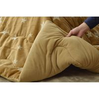 イケヒコ こたつ布団 長方形 星柄 アステル 幅1900×奥行2400mm ベージュ 5529719 1枚（直送品）