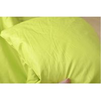 イケヒコ こたつ布団 長方形 洗える 軽量 コンパクト クラウド 幅1850×奥行2350mm ライトグリーン  1枚（直送品）