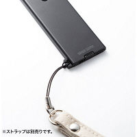 【処分品】サンワサプライ レーザーポインター LP-RD316BK 赤色レーザー カード型 ボタン電池 連続使用2時間（直送品）