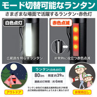 朝日電器 フォーカスLEDアルミライト DOP-EP306 1個