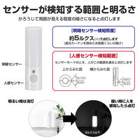 朝日電器 LEDセンサー付きライト PM-L256 1個