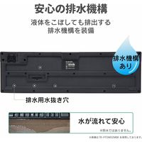 ワイヤレスキーボード マウスセット 無線 テンキーレス コンパクト メンブレン ブラック TK-FDM105MBK エレコム 1個