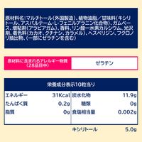 ロッテ キシリトールガム ブラックミント ファミリーボトル 6個