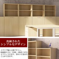 Garage fantoniGF用 上置き用扉 鍵付 幅898×奥行18×高さ797mm 白木（AB） 1枚（直送品）