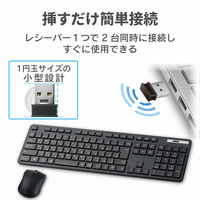 ワイヤレスキーボード マウスセット 無線 フルサイズ 薄型 メンブレン ブラック TK-FDM110MBK エレコム 1個（直送品）