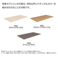 【組立設置込】コクヨ インベント収納 両開き扉 上置き 幅900×奥行450×高さ915mm ナチュラルグレー WM-S49F1N 1台(直送品)（直送品）