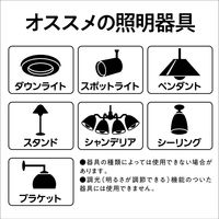 パナソニック LED電球 プレミアＸ 一般電球タイプ（E26口金） 40W形 全配光 昼白色 LDA4N-D-G/S/Z4