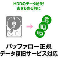 バッファロー USB3.1(Gen.1)対応 耐衝撃ポータブルHDD 1TB ブラック HD-PGF1.0U3-BKA 1台（直送品）