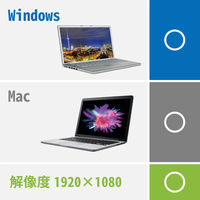 エレコム HDMIーVGA変換ケーブル 2.0m ブラック CAC-HDMIVGA20BK 1本（直送品）