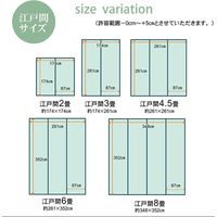 イケヒコ ラグ PPカーペット 『Fウィード』 江戸間3畳 幅1760×奥行2610mm ブラウン 1090281061003 1枚（直送品）