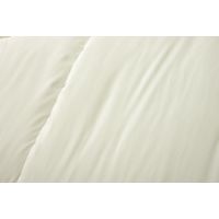 イケヒコ・コーポレーション FIヌード 掛け 190×210cm 1201550000000 1枚