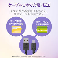 USBケーブル タイプC (A-C) 2m 高耐久 USB2.0 ブラック MPA-FACS20BK エレコム 1個