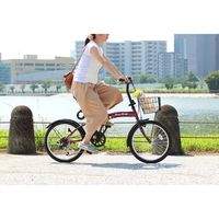 【自転車・折りたたみ】 ミムゴ Classic Mimugo FDB206SG-RL 1台（直送品）