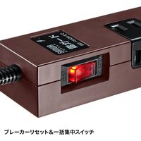 サンワサプライ 雷ガードタップ TAP-SP2110-5BR 1個（直送品）