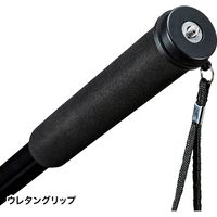 サンワサプライ マルチスタンド（一脚） DG-CAM23 1個