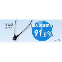 パナソニック LEDネックライト (強弱切替え機能付き) 見回り 夜間作業 首掛け BF-AF12P-H 3個 【在庫限り】