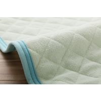 イケヒコ キッズ コット敷パッド 580×1010mm ブルー 1192330042601 1枚（直送品）