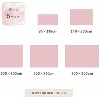 イケヒコ ラピアス ラグ 950×1850mm スノーホワイト 1280311271103 1枚（直送品）