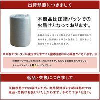 イケヒコ SARARI ラグ 900×1850mm ブルー 1290510043102 1枚（直送品）