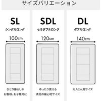 イケヒコ・コーポレーション 洗える寝具敷き布団　アムール BL シングルロング 1200291046203 1枚