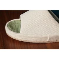 イケヒコ・コーポレーション スアブ(い草コンフォート) IV L 1260160000000 1足