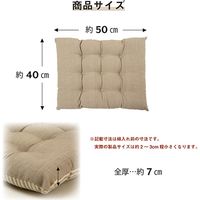 イケヒコ クララ ラクラクシートクッション ブルー 1210250042001 1枚（直送品）