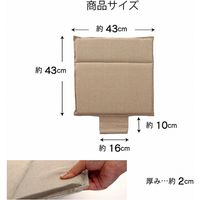 イケヒコ クララ い草入タタキ カークッション 430×430mm ベージュ 1230080020302 1枚（直送品）
