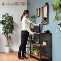 B.Bファニシング ZAGA ボックスミラー 幅30【ブラウン】 ZMB-300BR 1個