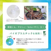 協和 ハイポニカ植物活力液 ストレート液 500ml 2057311 1本