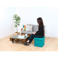 不二貿易 ディノ ボックススツール 幅380×奥行380×高さ400mm ブルー 85852 1セット(2台入)（直送品）