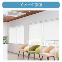 【幅1cm単位】抗ウイルスロールスクリーン幅107cm×高10~80cm tr4238-107x80-r65 1セット トーソー（直送品）