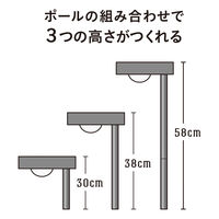 タカショー ひかりノベーション SC 花のひかり LGS-LH02P 1箱(2個入)（直送品）