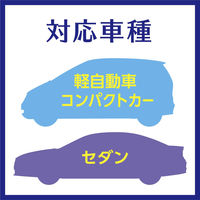 クルマのスッキーリ 車まるごと除菌・消臭 普通車用 スチームタイプ ほんのり香るクリーンムスクの香り 1個 アース製薬
